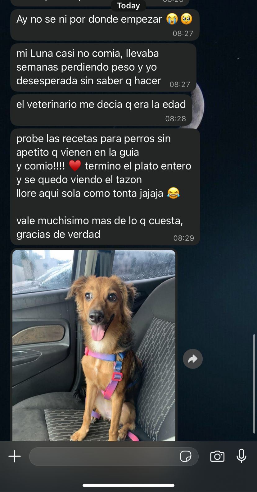 Testimonio de Camilla