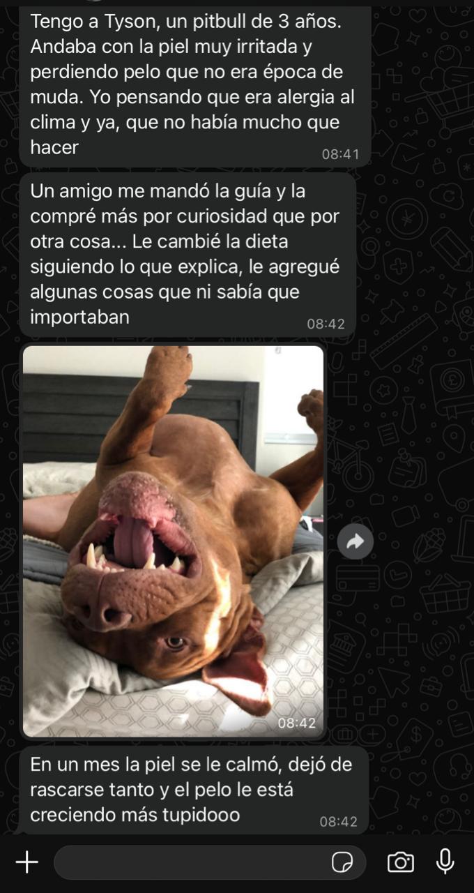 Testimonio de Diego G