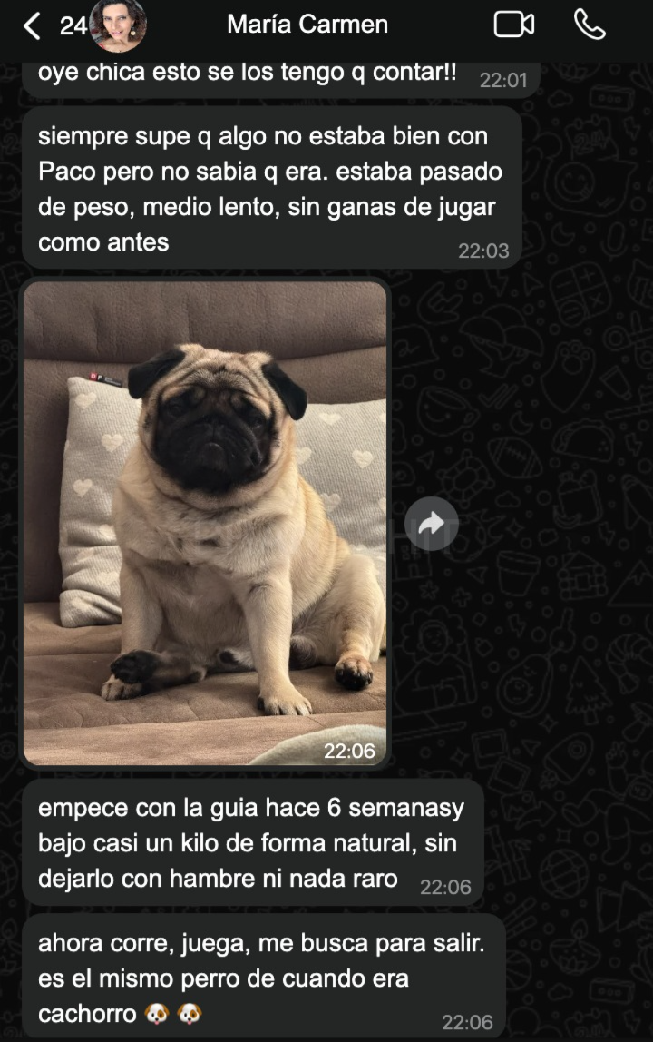 Testimonio de María Carmen